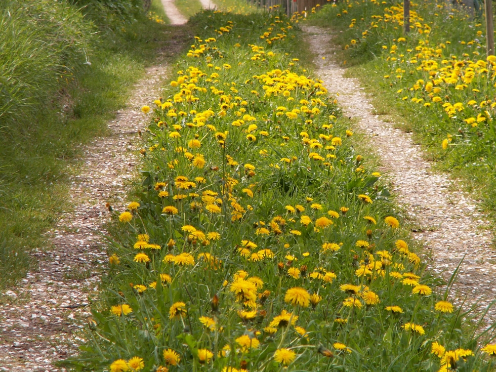 Link zum Stellenangebot...