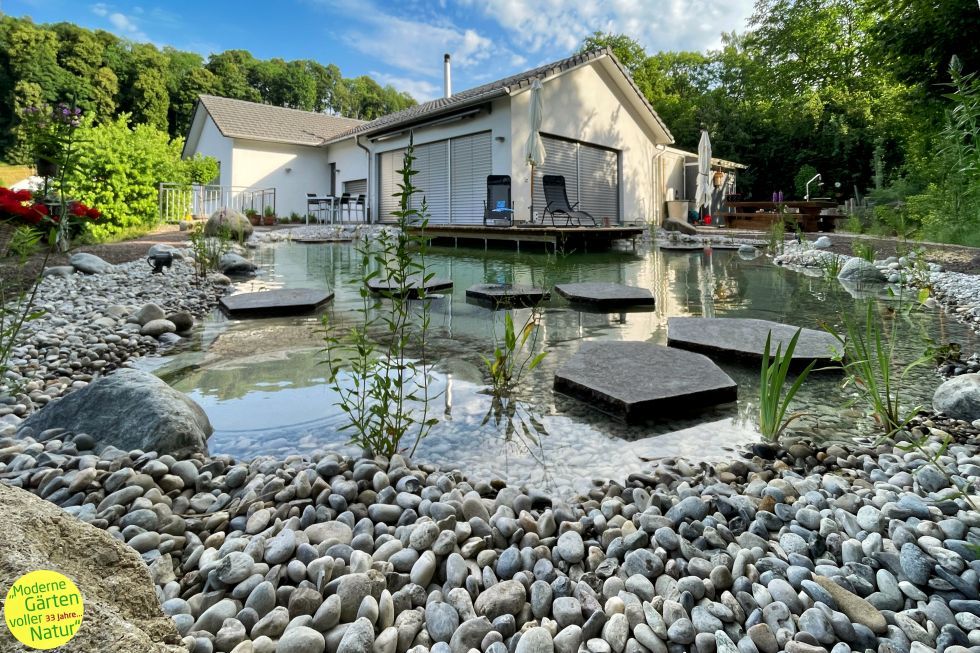 Gestaltung Schwimmteich Moor-Nebel Gärten