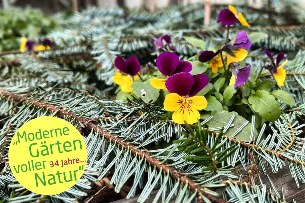 Moor-Nebel Gärten wünscht allen frohe Festtage...