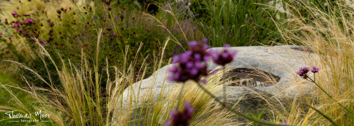 Moor-Nebel Gärten GmbH für Gartenbau, Gartenplanung, Gartenpflege und Fotografie